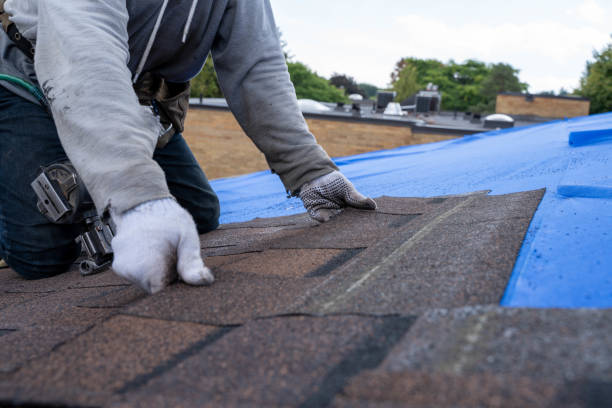 Best Roof Waterproofing Services  in Choccolocco, AL