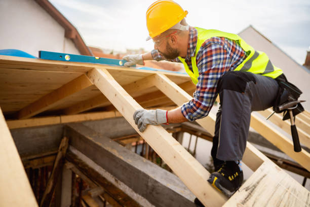 Best Roof Gutter Cleaning  in Choccolocco, AL