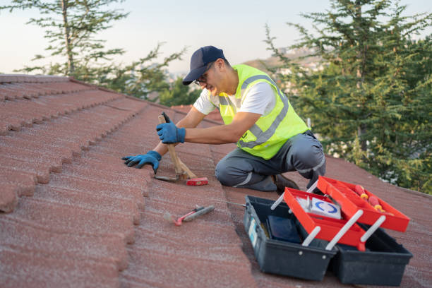 Professional Roofing Contractor in Choccolocco, AL
